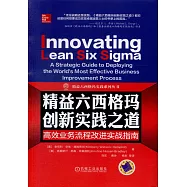 精益六西格瑪創新實踐之道：高效業務流程改進實戰指南