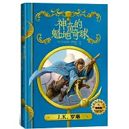 神奇的魁地奇球