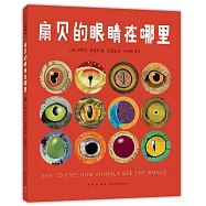 扇貝的眼睛在哪裡