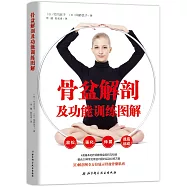骨盆解剖及功能訓練圖解