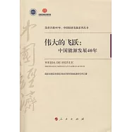 偉大的飛躍：中國能源發展40年