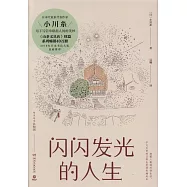 閃閃發光的人生