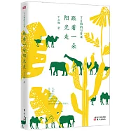 丁立梅的寫作課：跟著一朵陽光走