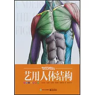 藝用人體結構
