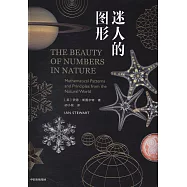 迷人的圖形