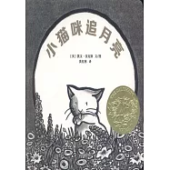 小貓咪追月亮