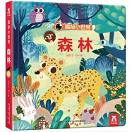 揭秘小世界：森林