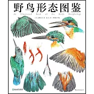 野鳥形態圖鑒