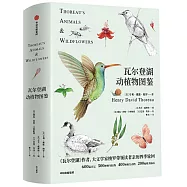 瓦爾登湖動植物圖鑒：動物篇+植物篇(套裝全2冊)