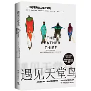 遇見天堂鳥