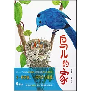 鳥兒的家