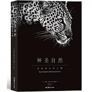 神聖自然：生命的永恆之舞