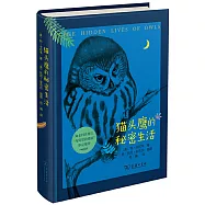 貓頭鷹的秘密生活
