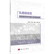 釓鋯燒綠石固化體的SPS燒結及固核機理