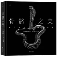 骨骼之美