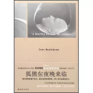 狐狸在夜晚來臨