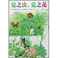 夏之蟲，夏之花
