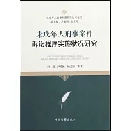 未成年人刑事案件訴訟程序實施狀況研究