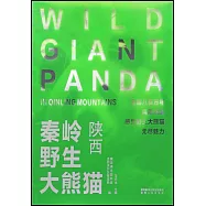 秦嶺野生大熊貓·陝西