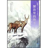 深谷里的羚羊