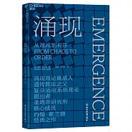 湧現：從混沌到有序