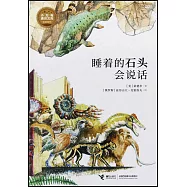 睡着的石頭會說話