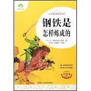 鋼鐵是怎樣煉成的