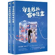 你是我的命中註定(上下)