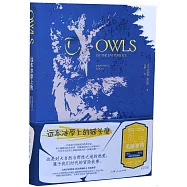 遠東冰原上的貓頭鷹