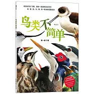 鳥類不簡單