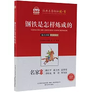 鋼鐵是怎樣煉成的(智聽版)