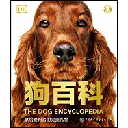 DK狗百科