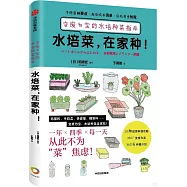 水培菜，在家種!變廢為寶的水培種菜指南