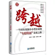 跨越：一個國有改制中小型企業的&ldquo;專精特新&rdquo;發展之路