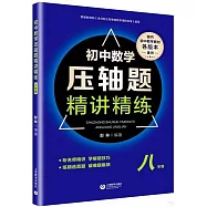 初中數學壓軸題精講精練：八年級