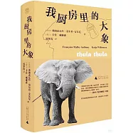 我廚房裡的大象