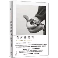 在黃昏起飛