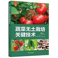 蔬菜無土栽培關鍵技術