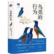 鳥類的行為