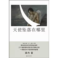 路內追隨系列：天使墜落在哪裡