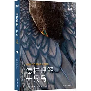 怎樣理解一隻鳥