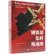 鋼鐵是怎樣煉成的