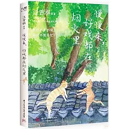 慢慢來，好戲都在煙火里