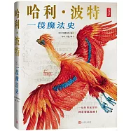 哈利·波特：一段魔法史