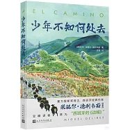 少年不知何處去