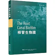 根管生物膜