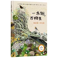 一木倒，萬物生：樹的第二次生命