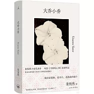 大喬小喬(趙露思《許我耀眼》原著)