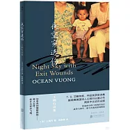 夜空穿透傷：王鷗行詩集