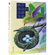 就在身邊的奇妙鳥巢